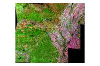 LandSat Thematic Mapper Bands 542 Fall 1999 (raster)