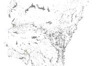 Medium Resolution: National Hydrography Dataset Waterbody Feature (polygon)